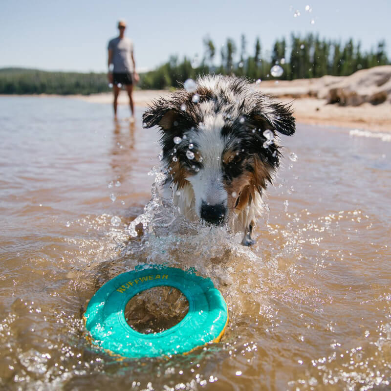 Ruffwear Hydro Plane™ - Vanillapup Online Pet Store