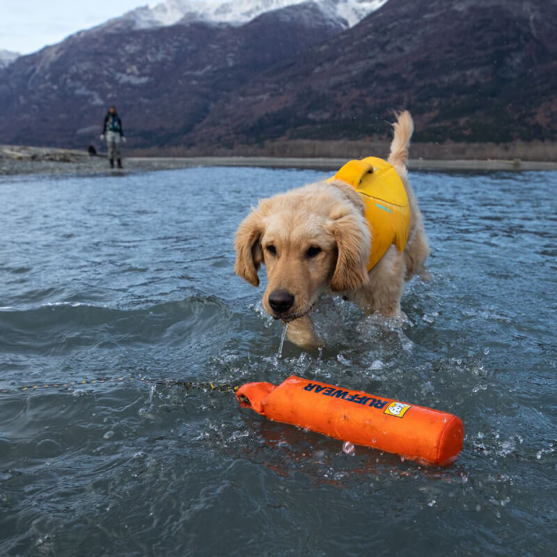 Ruffwear Lunker™ - Vanillapup Online Pet Store