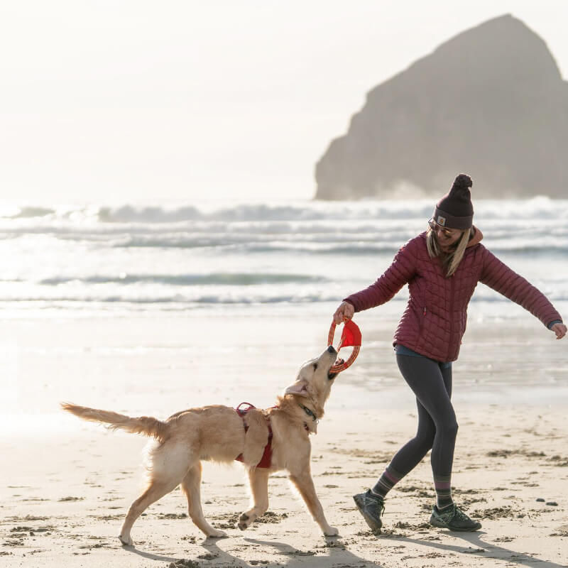 Ruffwear Pacific Ring™ - Vanillapup Online Pet Store