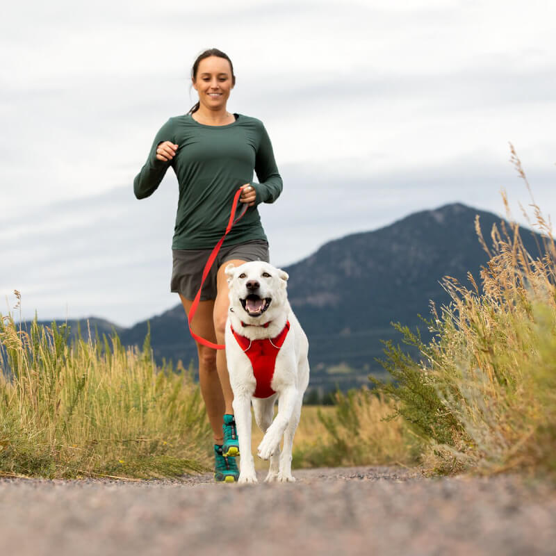 Ruffwear Front Range® No-Pull Everyday Dog Harness - Vanillapup Online Pet Store