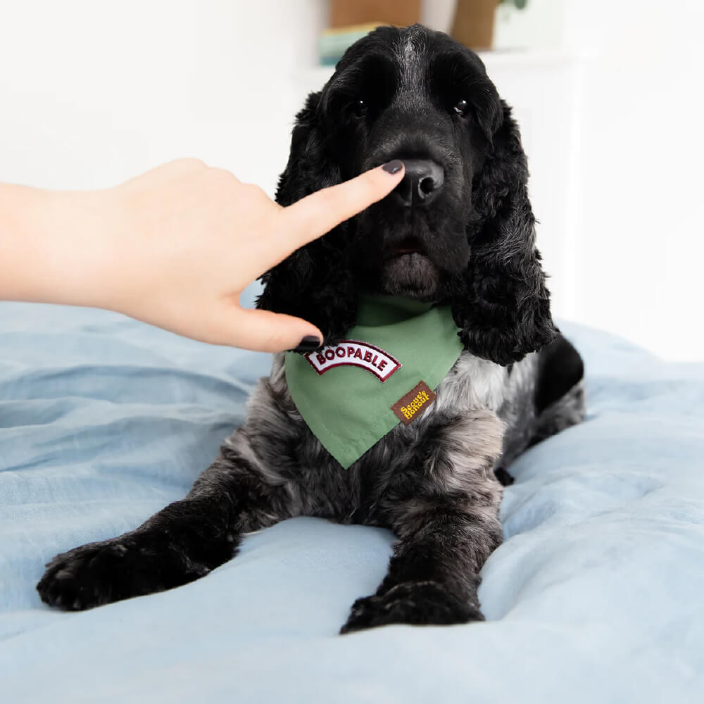 Scout's Honour Iron On Patch | Boopable