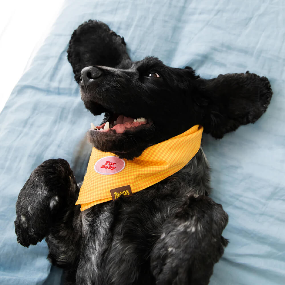 Scout's Honour Iron On Patch | Fur Baby