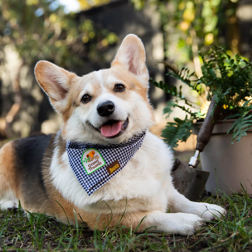 Scout's Honour Iron On Patch | Green Thumb