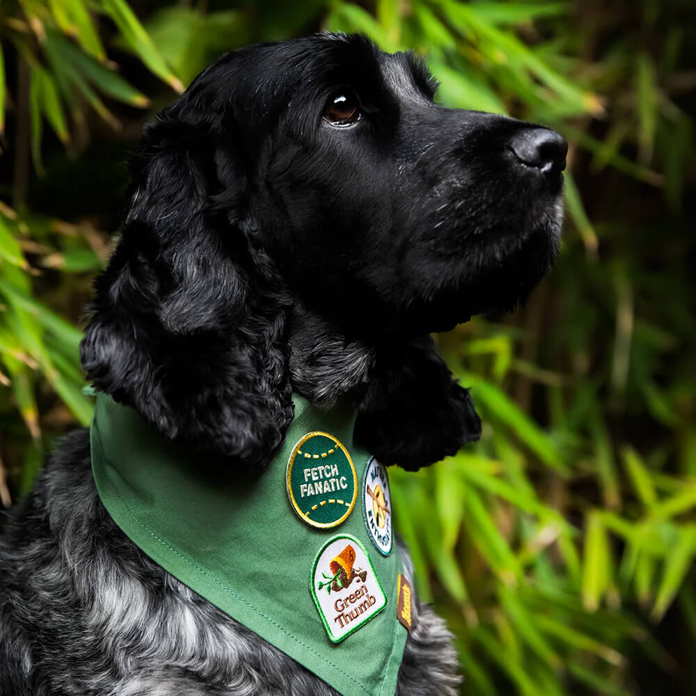 Scout's Honour Iron On Patch | Green Thumb