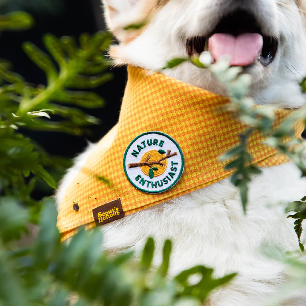 Scout's Honour Iron On Patch | Nature Enthusiast