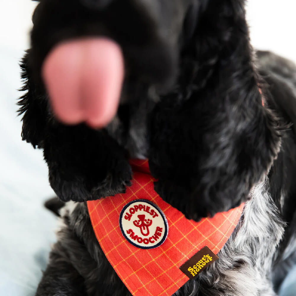 Scout's Honour Iron On Patch | Sloppiest Smoocher