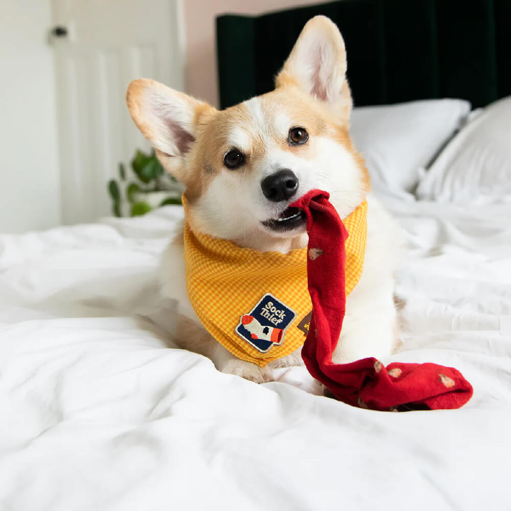 Scout's Honour Iron On Patch | Sock Thief