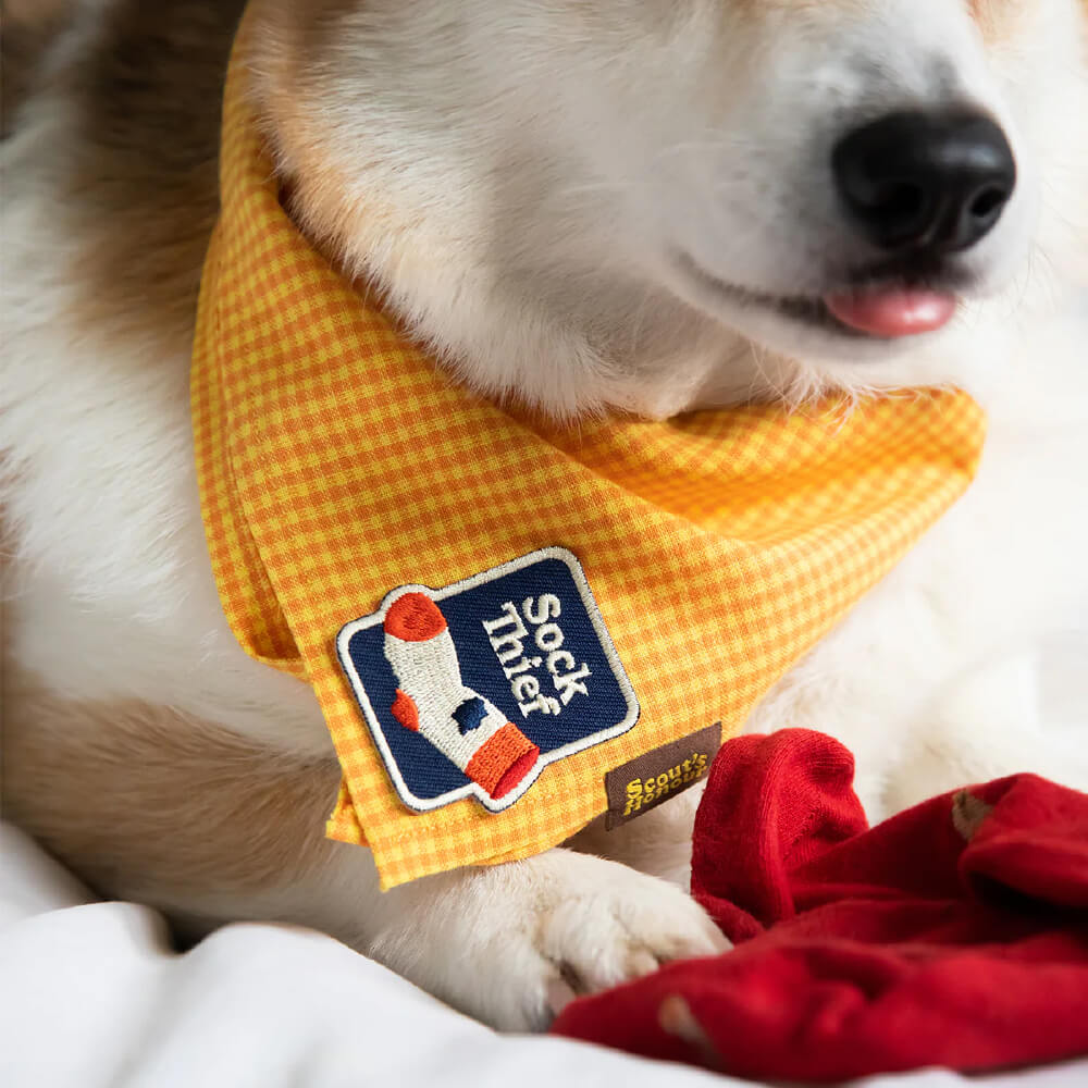 Scout's Honour Iron On Patch | Sock Thief