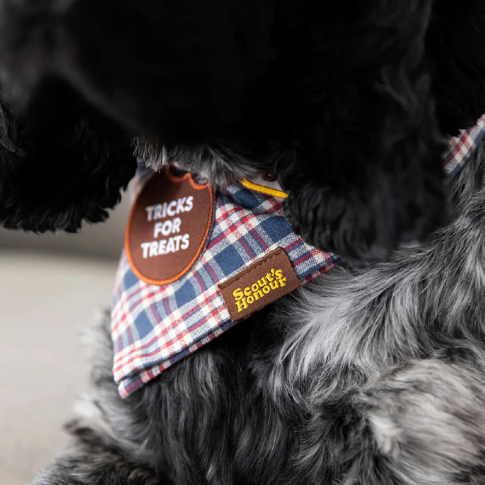 Scout's Honour Iron On Patch | Tricks for Treats