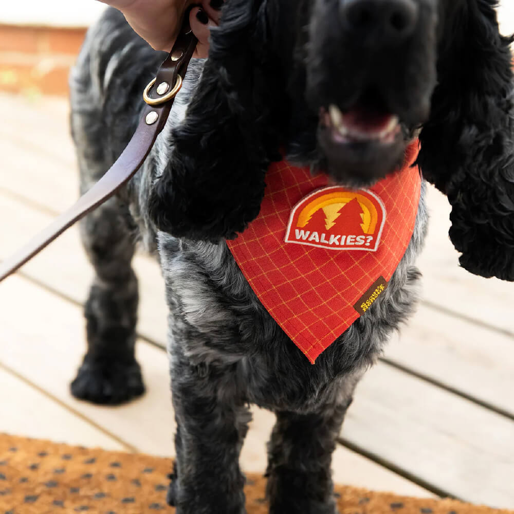 Scout's Honour Iron On Patch | Walkies