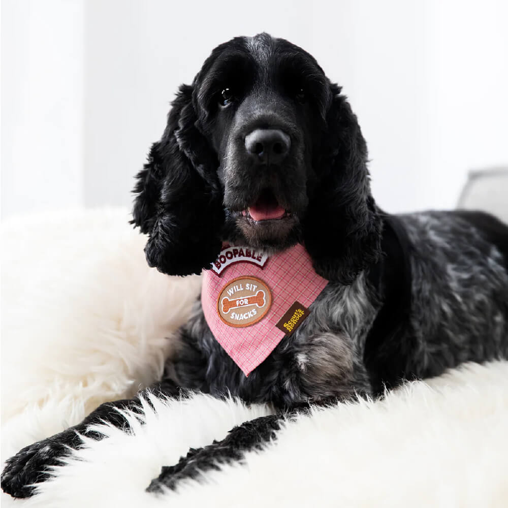 Scout's Honour Iron On Patch | Will Sit for Snacks