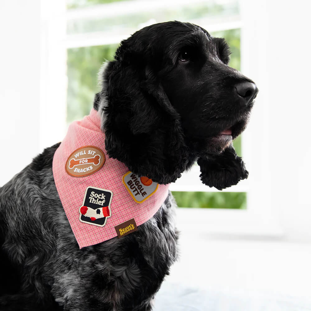 Scout's Honour Iron On Patch | Will Sit for Snacks