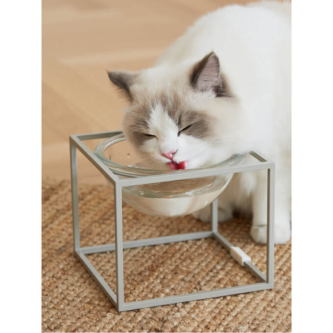 Studio Alive Moonlight Tableware | Grey - Vanillapup Online Pet Store