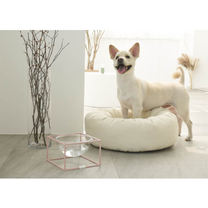 Studio Alive Moonlight Tableware | Pink - Vanillapup Online Pet Store