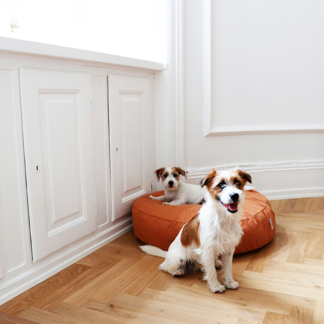 tadazhi Poespas Round Bed | Light Brown - Vanillapup Online Pet Store