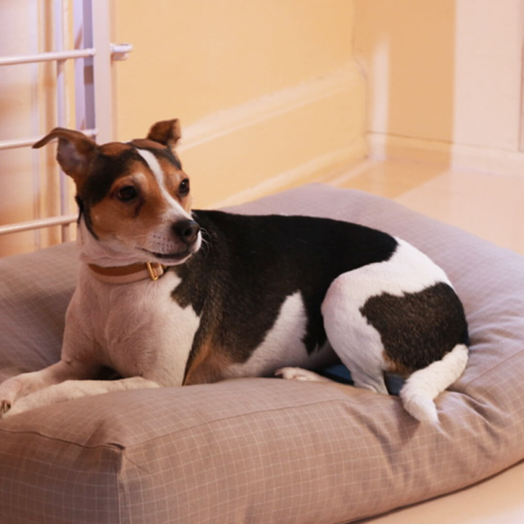 tadazhi Soft Pillow Bed | Checkered Rose - Vanillapup Online Pet Store