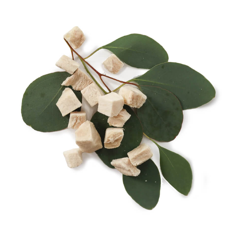 Taki Freeze-dried Mini Packs | Crocodile Tail