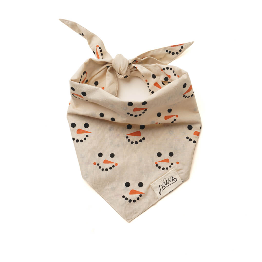 The Paws Bandana | Frosty - Vanillapup Online Pet Store