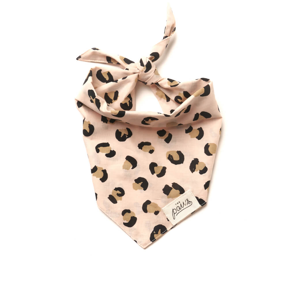 The Paws Bandana | Penny - Vanillapup Online Pet Store