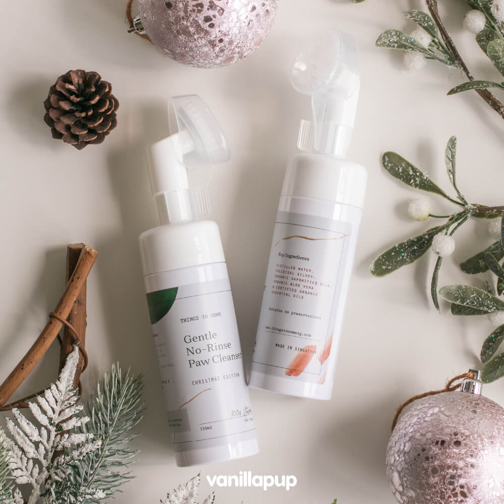 Gentle No-Rinse Paw Cleanser | Christmas Edition