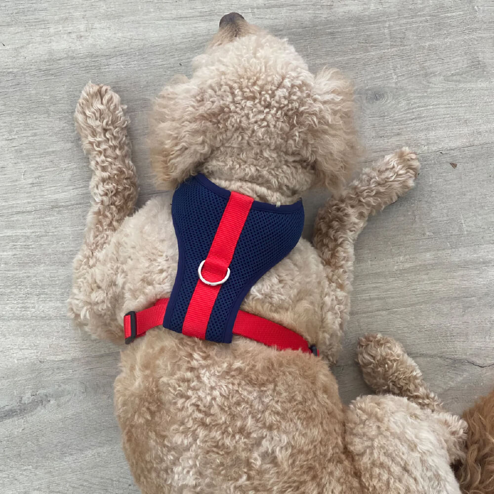 Wagwear Colour-Block Padded Harness