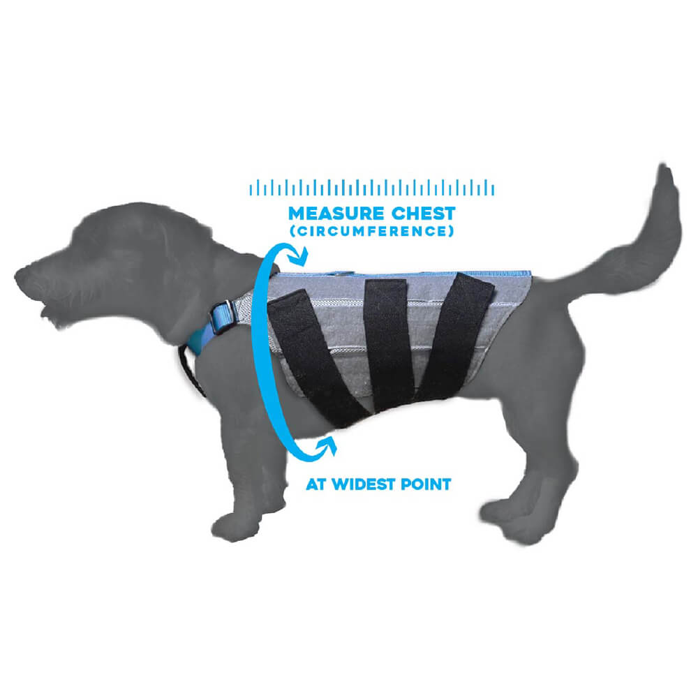 WiggleLess Back Brace