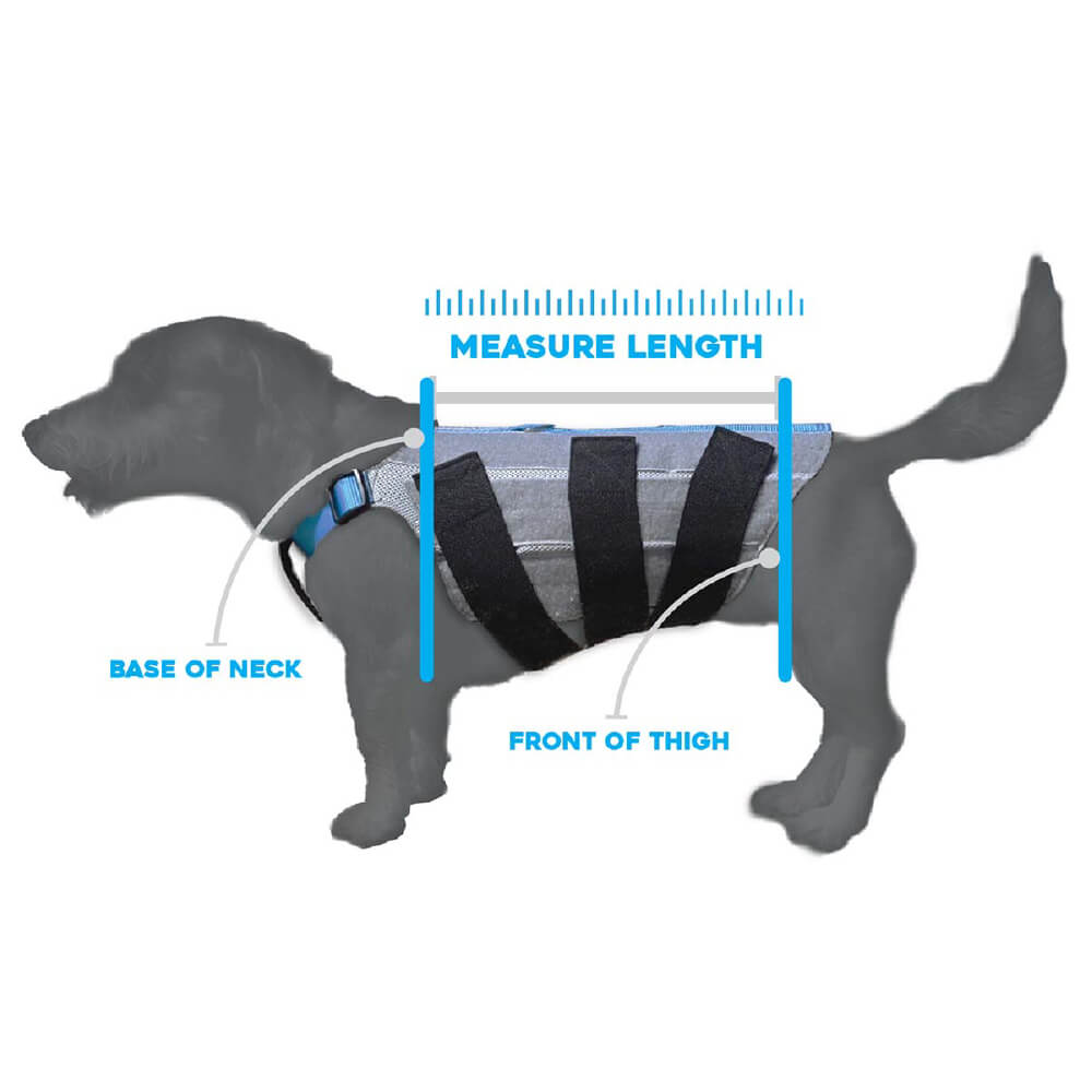 WiggleLess Back Brace