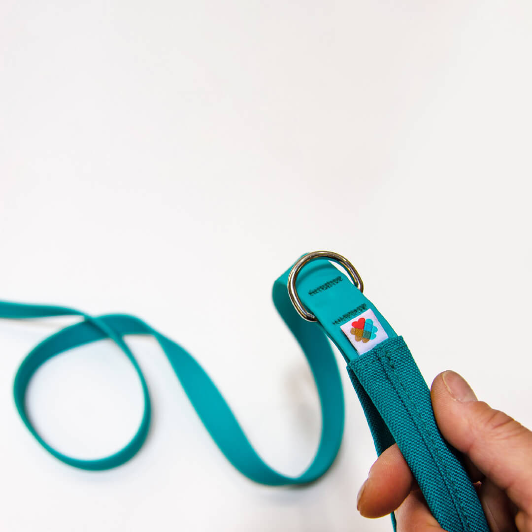 Wildebeest Funston Waterproof Leash | Turquoise - Vanillapup Online Pet Store