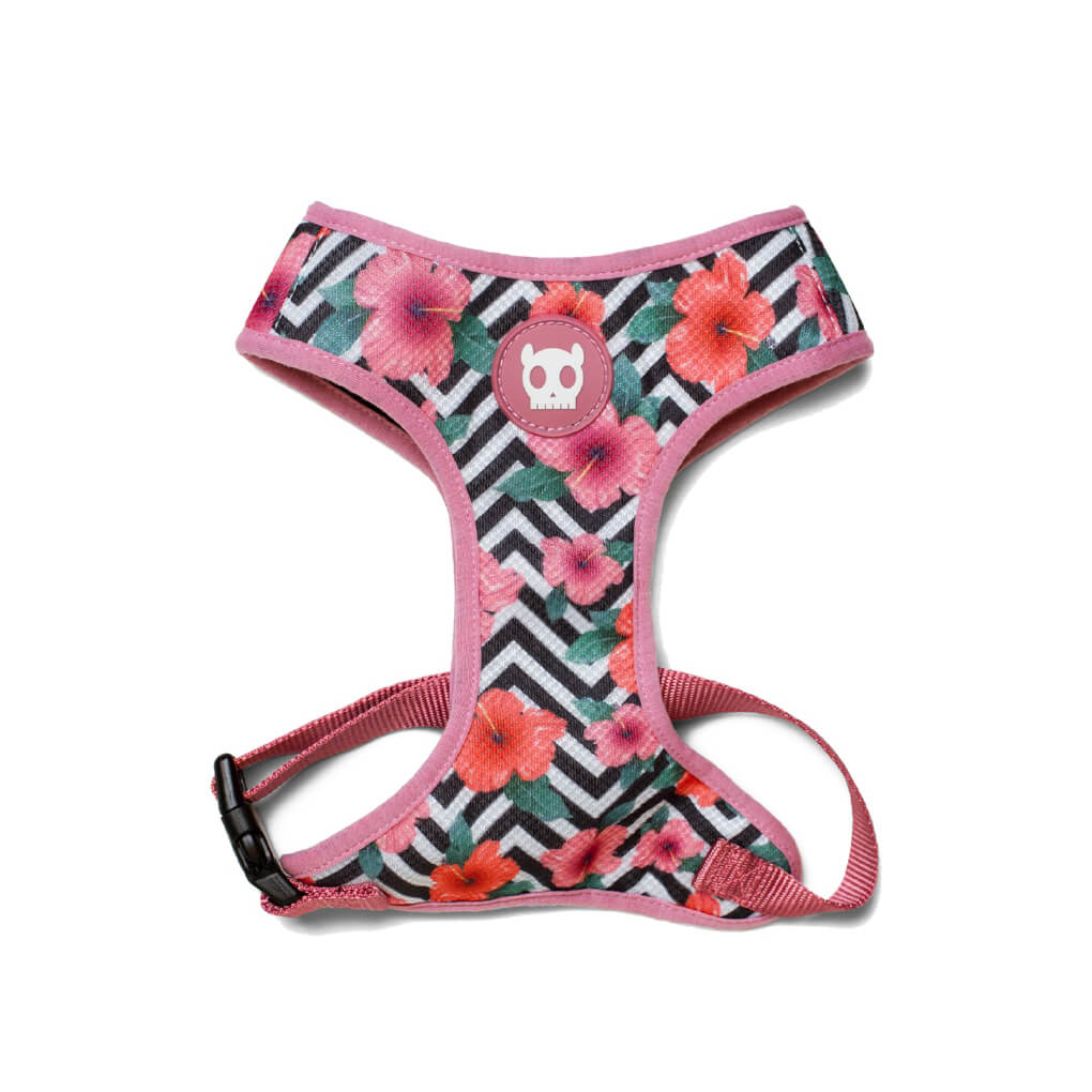 Zee dog 2025 mahalo harness