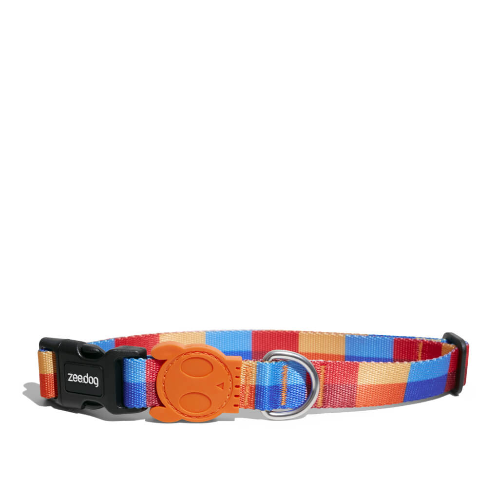 Zee.Dog Collar | Parker - Vanillapup Online Pet Store