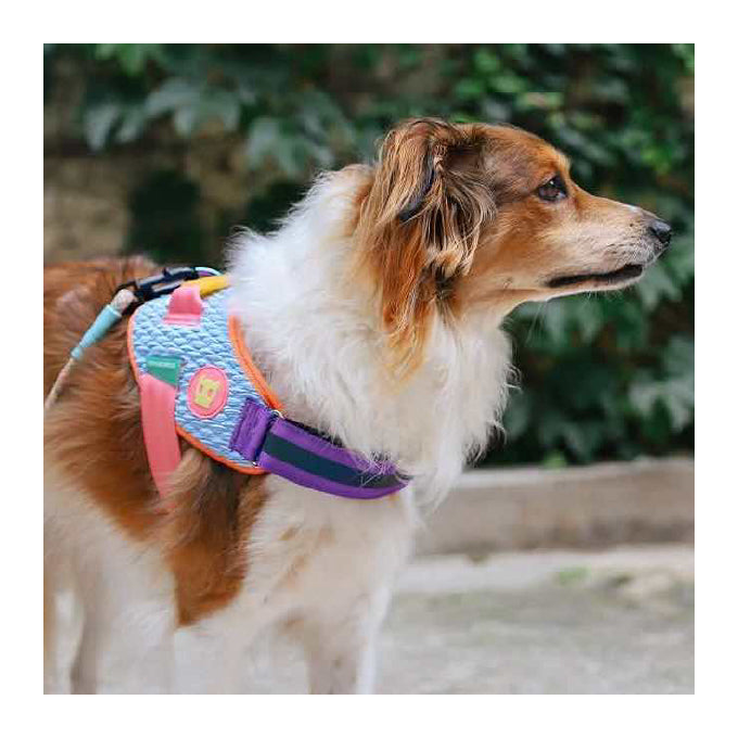 Zee.Dog Fly Harness | Galaxy - Vanillapup Online Pet Store