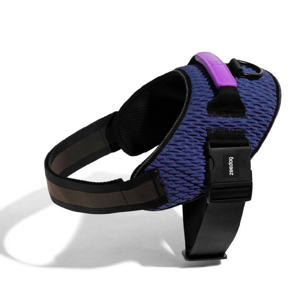 Zee.Dog Fly Harness | Wicked - Vanillapup Online Pet Store