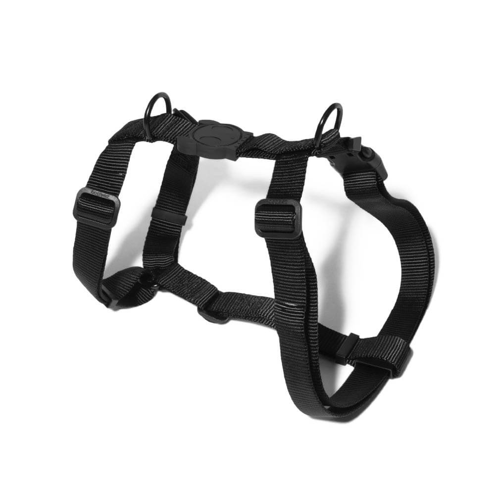 Zee.Dog H-Harness | Gotham - Vanillapup Online Pet Store