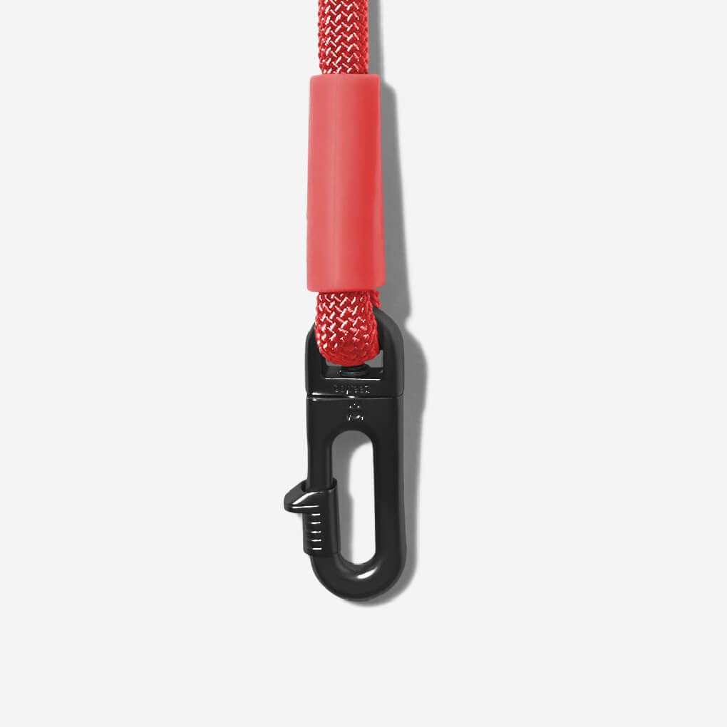 Zee.Dog Hands Free Rope Leash | Neon Coral - Vanillapup Online Pet Store