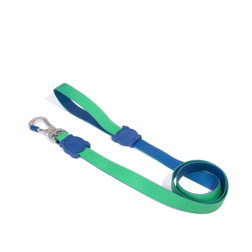 Zee.Dog NeoPro™ Leash |  Apex