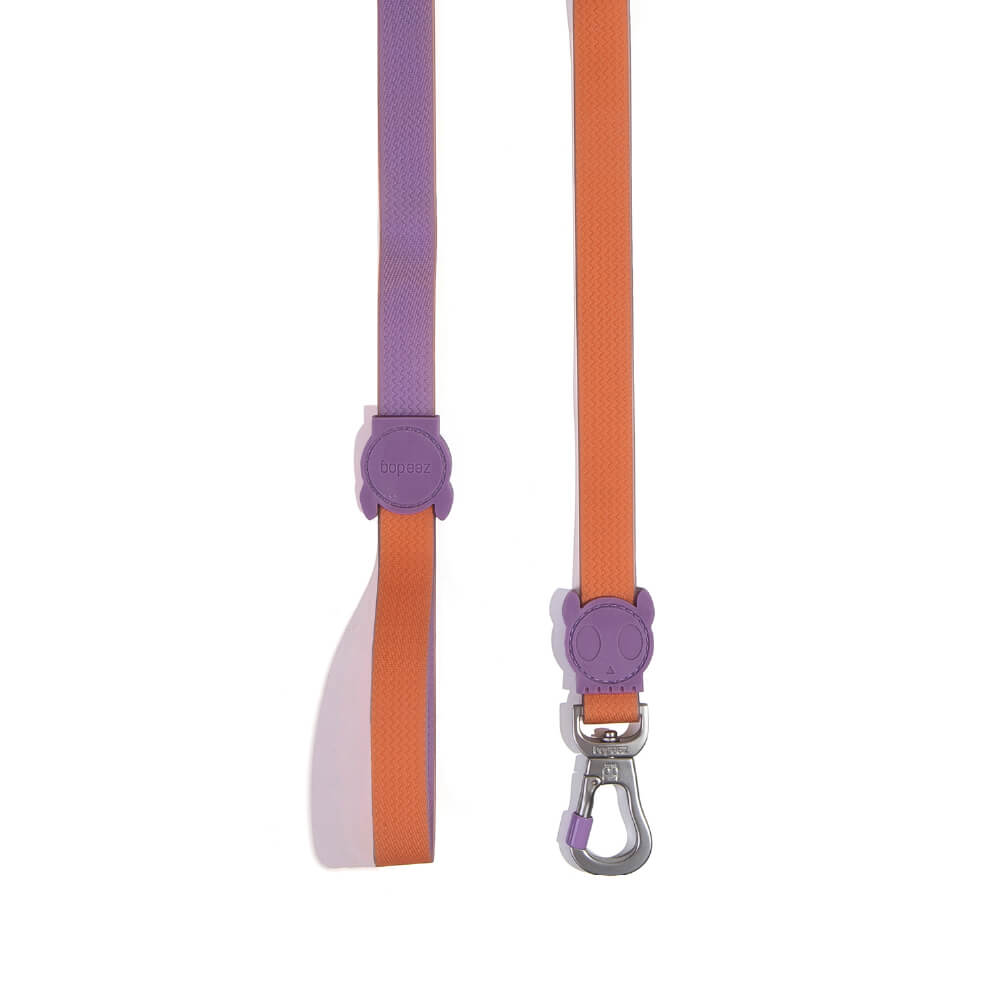 Zee.Dog NeoPro™ Leash | Iris