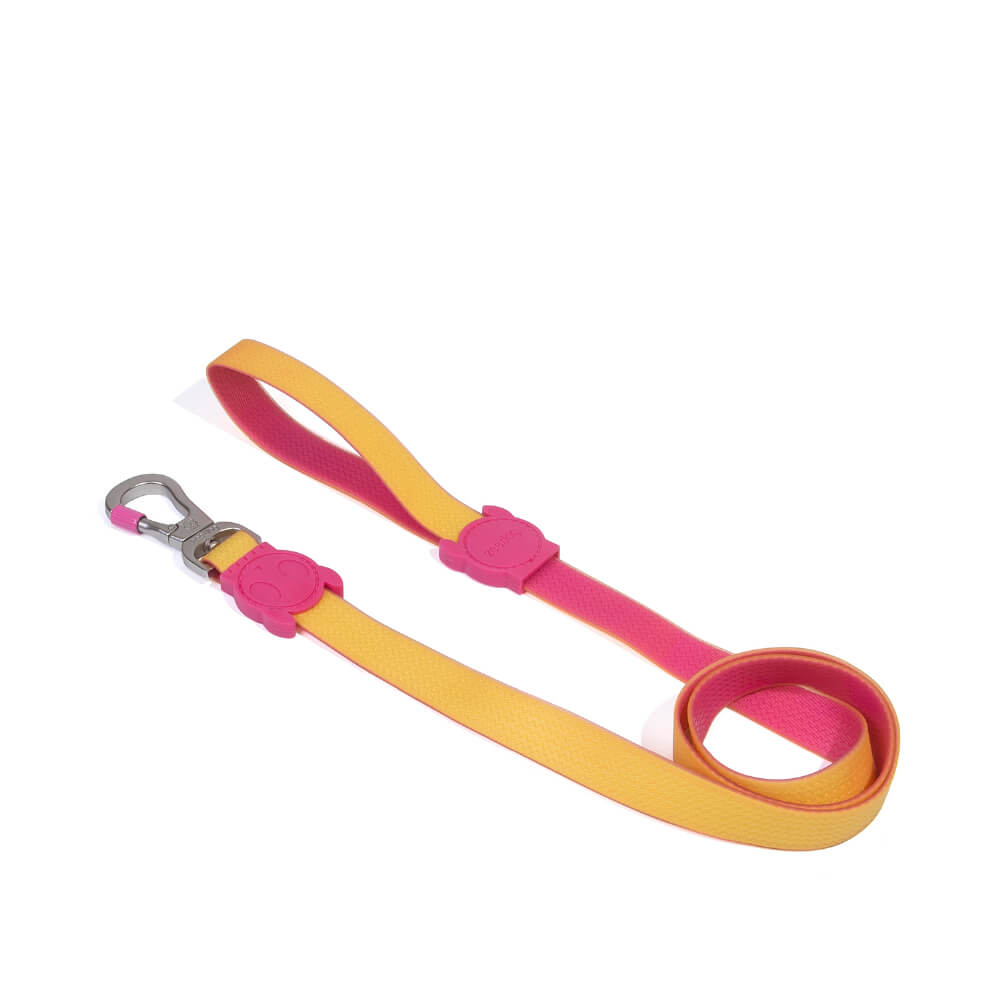 Zee.Dog NeoPro™ Leash |  Lyra