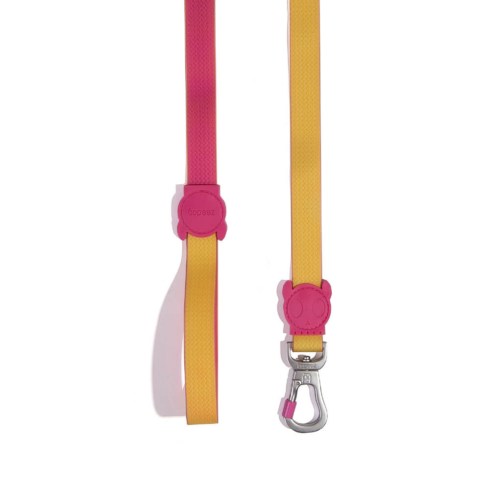 Zee.Dog NeoPro™ Leash | Lyra
