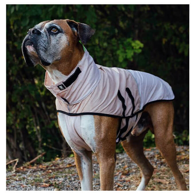 Zee.Dog Raincoat | Oatmeal