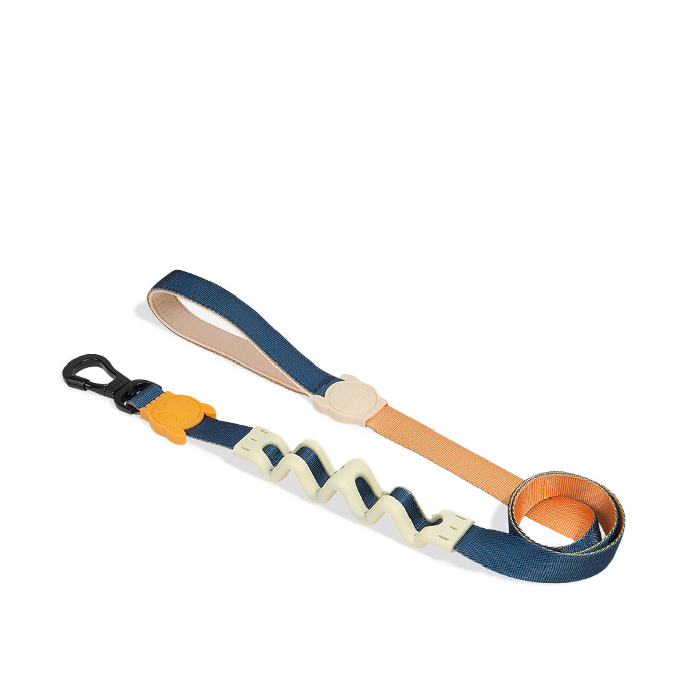 Zee.Dog Ruff Leash | Voyage