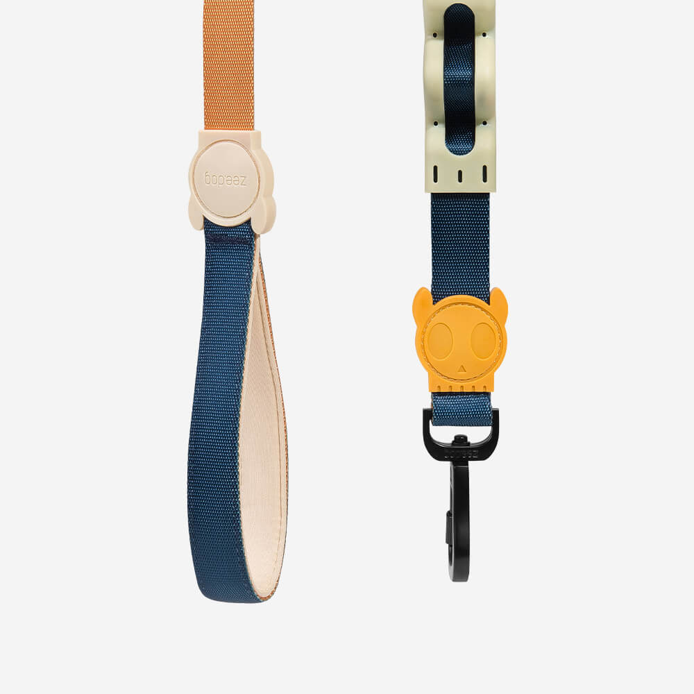 Zee.Dog Ruff Leash | Voyage