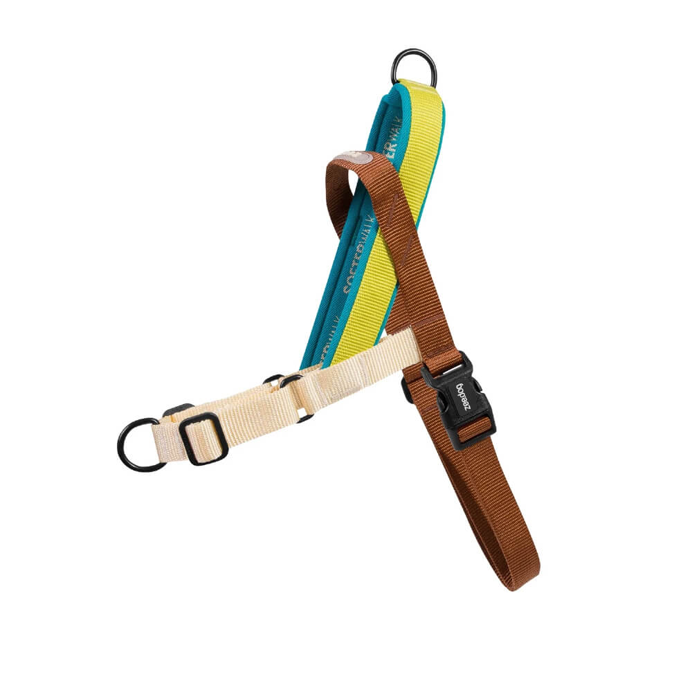 Zee Dog Softer Walk Harness | Avocado