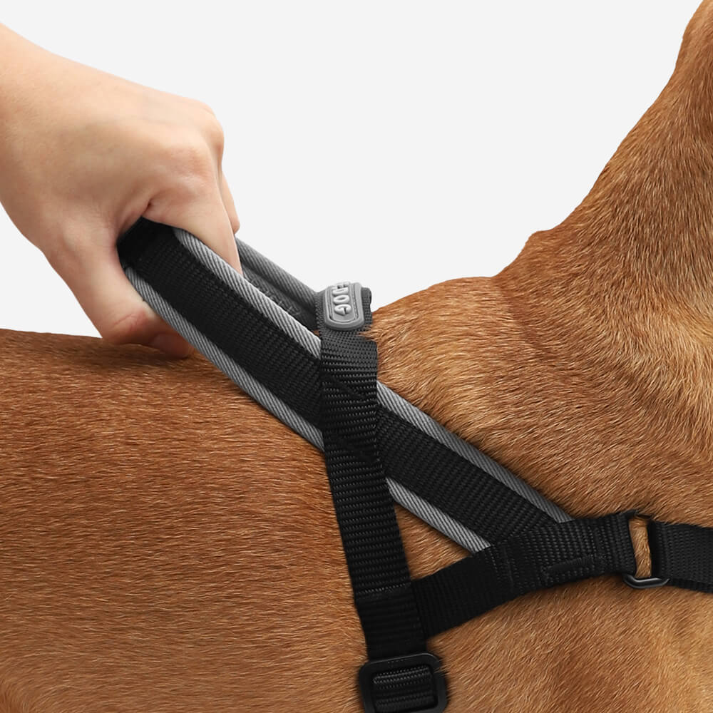 Zee Dog Softer Walk Harness | Gotham