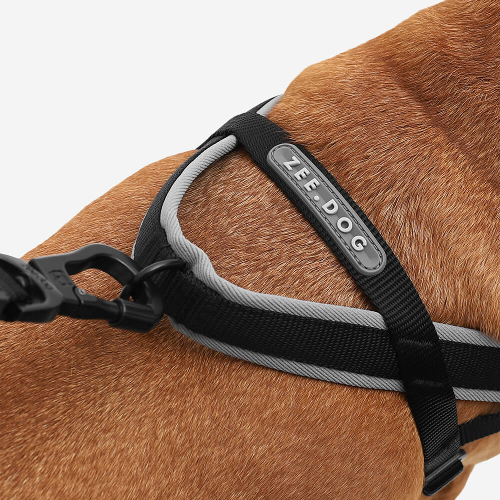 Zee Dog Softer Walk Harness | Gotham