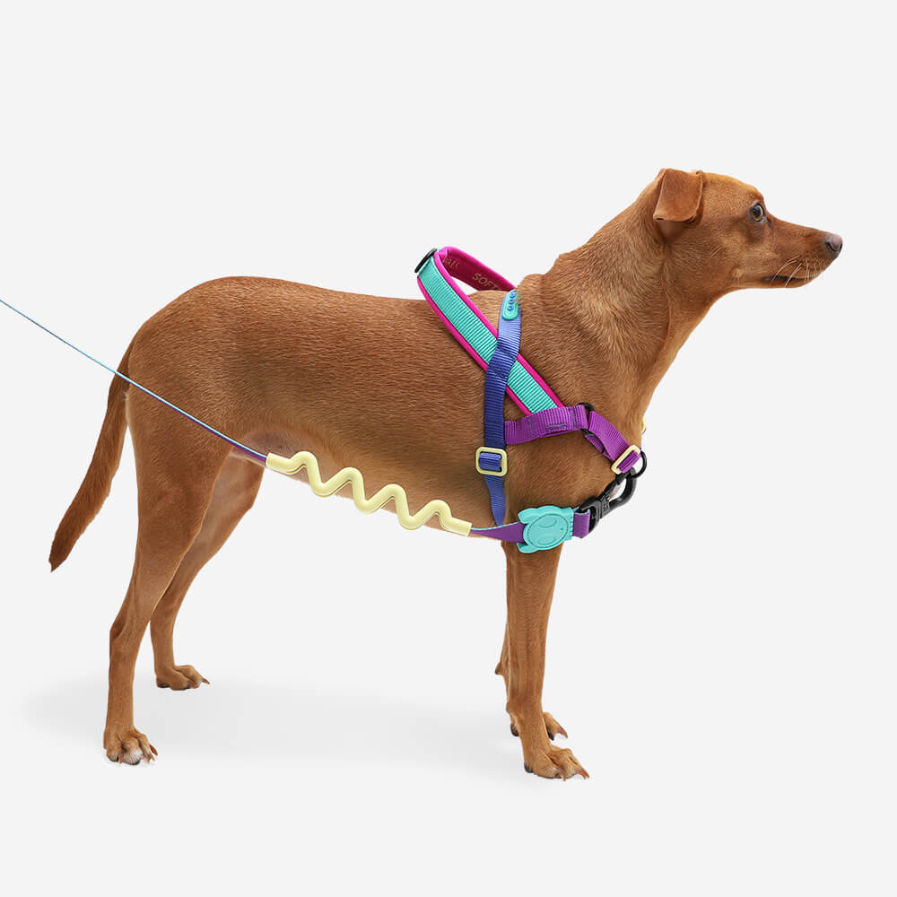 Zee Dog Softer Walk Harness | Shockwave