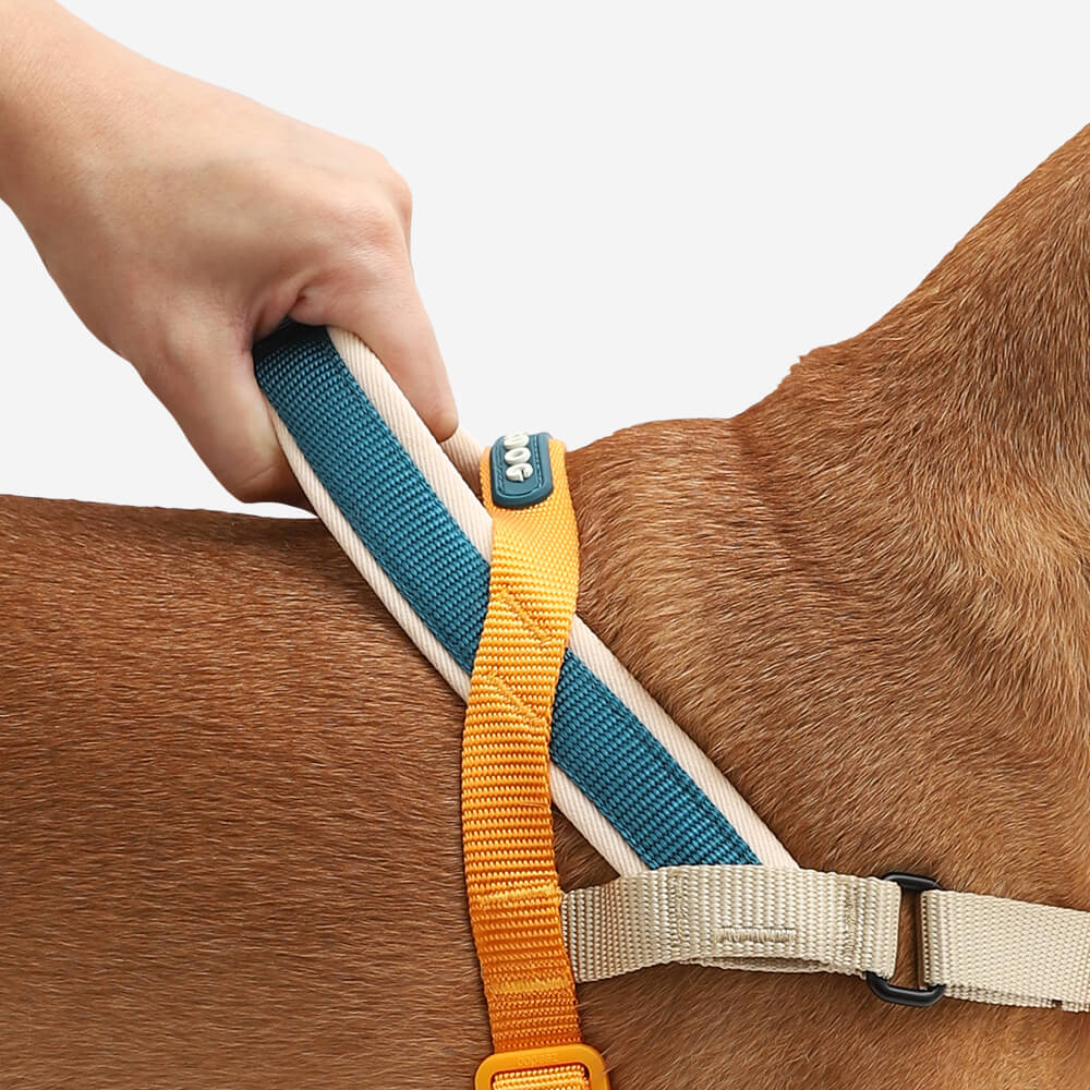 Zee Dog Softer Walk Harness | Voyage