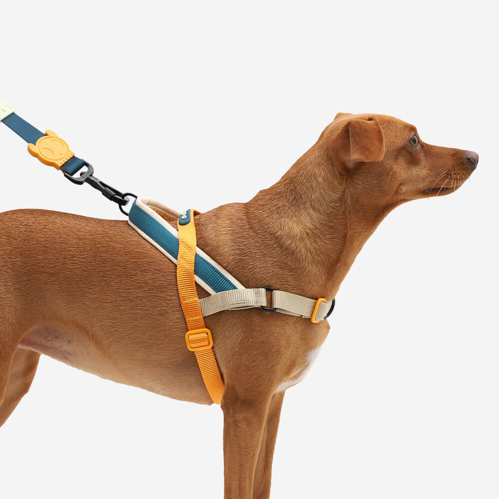 Zee Dog Softer Walk Harness | Voyage
