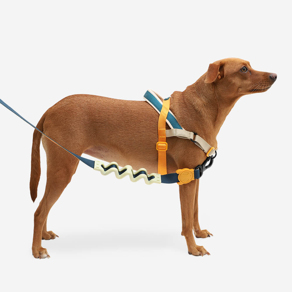 Zee Dog Softer Walk Harness | Voyage