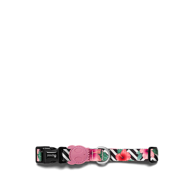 Zee.Dog Collar | Mahalo - Vanillapup Online Pet Store