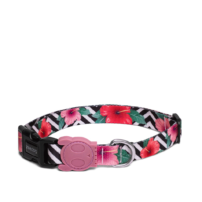 Zee.Dog Collar | Mahalo - Vanillapup Online Pet Store